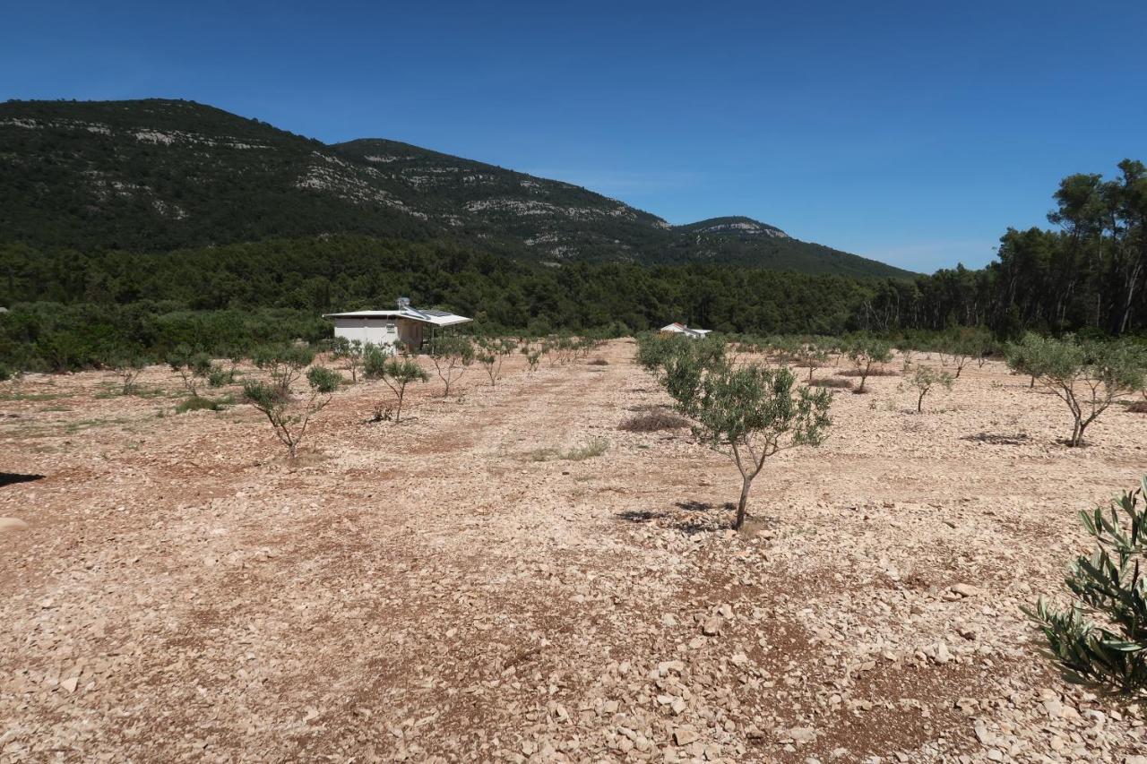 Robinson Olive Tree Huts Villa Čara Exterior foto